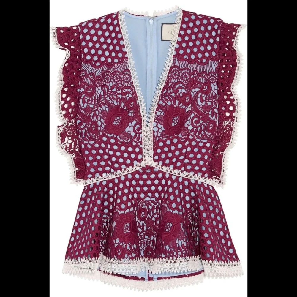 ALEXIS Kirk Lace Paneled Corded Top - Picture 3 of 9